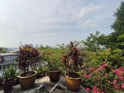 Bukit Timah Road (D10), Detached #544434791